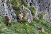 Domenica 17 luglio 2016 – P.zi Becco e Farno - FOTOGALLERY